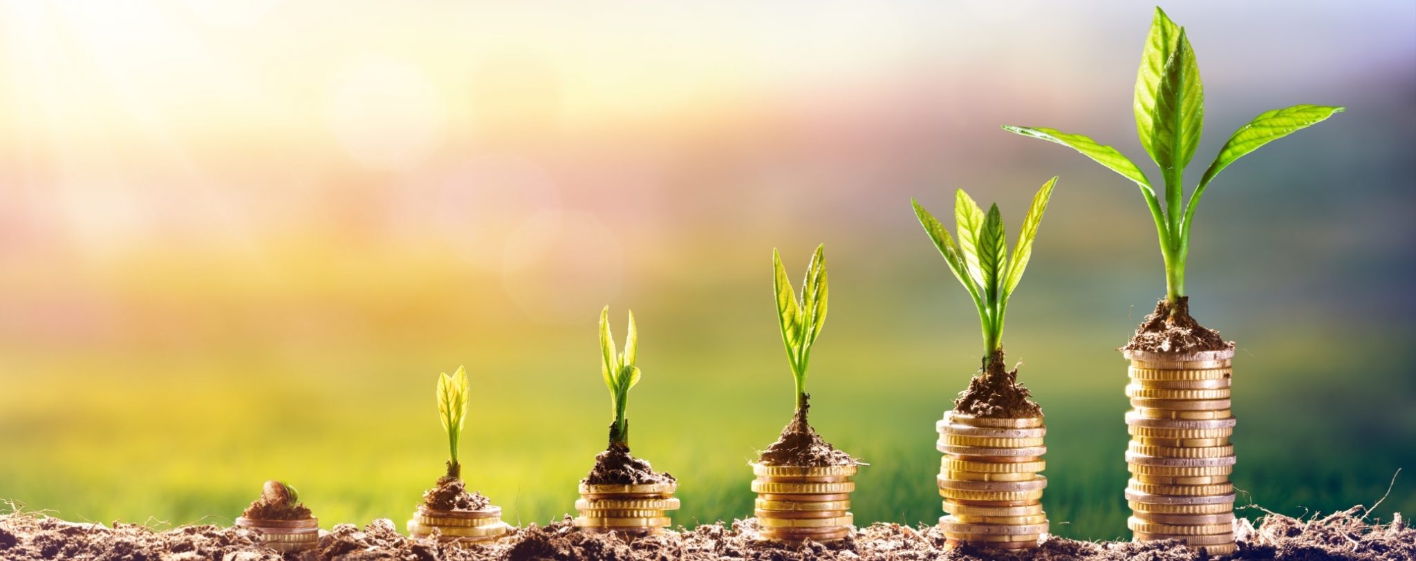 Pflanze wächst auf Geldmünzen - Beitrag Nachhaltiger Anlagemarkt