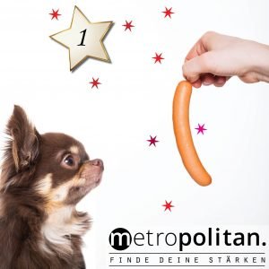 Adventskalender 2018 - Nummer 1 Salami für Vegetarier Hund mit Wurst