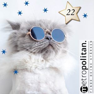 Adventskalender Nummer 22 Katze für Allergiker Katze mit Brille