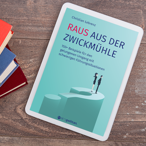 Raus aus der Zwickmühle E-Book Cover metropolitan