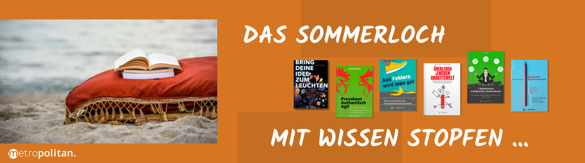 Das Sommerloch mit Wissen stopfen metropolitan Aktion Sommerlektüre 2022 Header Buchtitel