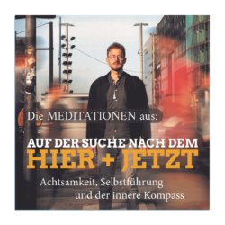 Die Meditationen aus Auf der Suche nach dem Hier + Jetzt Daniel Rieber metropolitan