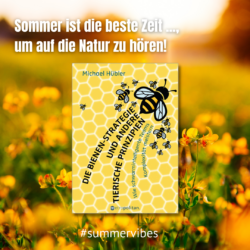 M031 Bienen-Strategie