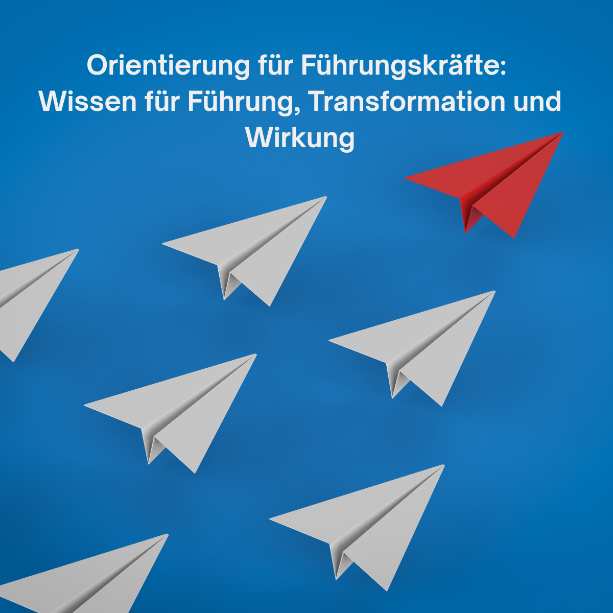 Orientierung für Führungskräfte: Wissen für Führung, Transformation und Wirkung